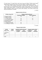 Produkto, paslaugų kūrimas ir vykdymas 4 puslapis