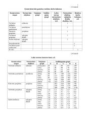 Produkto, paslaugų kūrimas ir vykdymas 5 puslapis