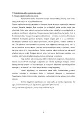 Darbo motyvacija 4 puslapis