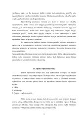 Darbo motyvacija 9 puslapis