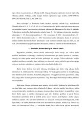 Darbo rinka ir jos valstybinis reguliavimas 7 puslapis