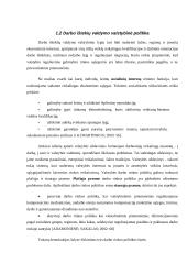Darbo rinka ir jos valstybinis reguliavimas 10 puslapis