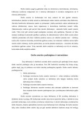 Darbo santykių atsiradimas ir nutraukimas 5 puslapis
