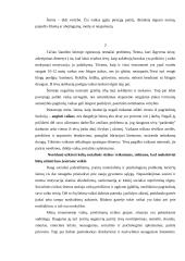 Projektas: "Būkime kartu" 6 puslapis