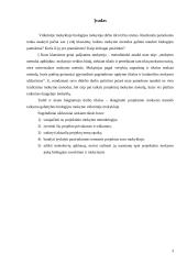 Projektinio mokymo metodo taikymo galimybes biologijos mokyme vidurinėje mokykloje 2 puslapis