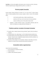 Projekto komandos formavimas 12 puslapis