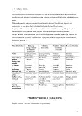 Projekto komandos formavimas 13 puslapis