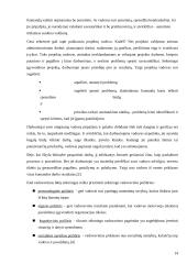 Projekto komandos formavimas 14 puslapis