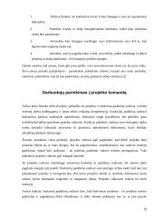 Projekto komandos formavimas 19 puslapis