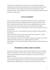 Projekto komandos formavimas 5 puslapis