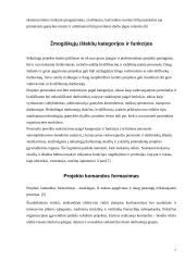 Projekto komandos formavimas 7 puslapis