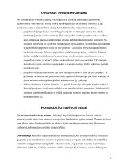 Projekto komandos formavimas 9 puslapis
