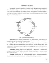 Projekto komandos formavimas ir dinamika 11 puslapis