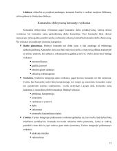 Projekto komandos formavimas ir dinamika 12 puslapis