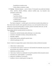 Projekto komandos formavimas ir dinamika 13 puslapis