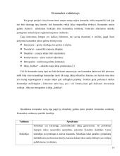 Projekto komandos formavimas ir dinamika 14 puslapis
