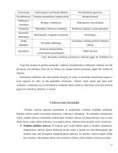 Projekto komandos formavimas ir dinamika 17 puslapis