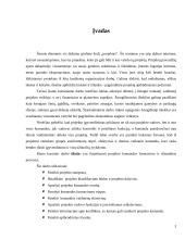 Projekto komandos formavimas ir dinamika 3 puslapis