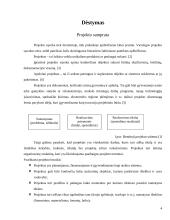 Projekto komandos formavimas ir dinamika 4 puslapis