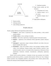 Projekto komandos formavimas ir dinamika 6 puslapis