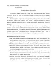Projekto komandos formavimas ir dinamika 7 puslapis