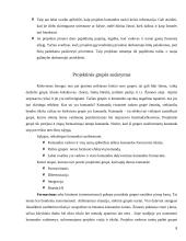 Projekto komandos formavimas ir dinamika 8 puslapis