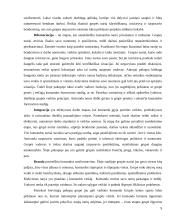 Projekto komandos formavimas ir dinamika 9 puslapis