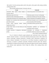 Projekto komandos formavimas ir dinamika 10 puslapis