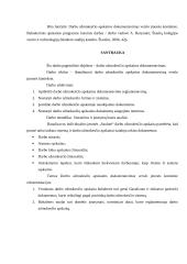 Darbo užmokesčio apskaitos dokumentavimas verslo įmonės kontekste 2 puslapis