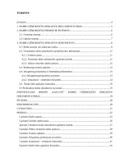 Darbo užmokesčio apskaitos dokumentavimas verslo įmonės kontekste 3 puslapis