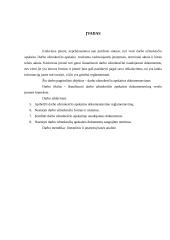 Darbo užmokesčio apskaitos dokumentavimas verslo įmonės kontekste 4 puslapis