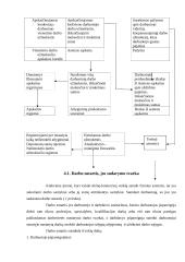 Darbo užmokesčio apskaitos dokumentavimas verslo įmonės kontekste 9 puslapis