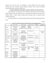 Darbo užmokesčio tarptautinėje firmoje diferencijavimas 13 puslapis