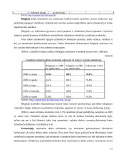 Darbo užmokesčio tarptautinėje firmoje diferencijavimas 14 puslapis