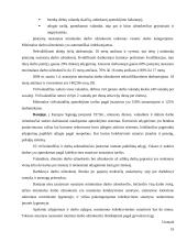 Darbo užmokesčio tarptautinėje firmoje diferencijavimas 18 puslapis