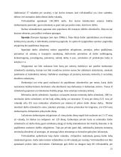 Darbo užmokesčio tarptautinėje firmoje diferencijavimas 20 puslapis