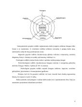 Darbo vietos ergonomika: darbas kompiuteriu 4 puslapis