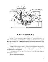 Darbo vietos ergonomika: darbas kompiuteriu 5 puslapis