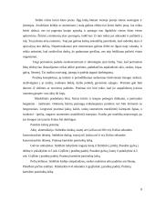 Darbo vietos ergonomika: darbas kompiuteriu 8 puslapis
