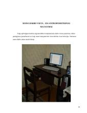 Darbo vietos ergonomika: darbas kompiuteriu 10 puslapis