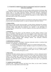Darbuotojų svarba kokybės valdymui 17 puslapis