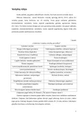 Darbuotojų vertybių skirtumai darbe 5 puslapis