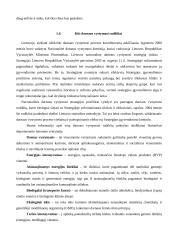 Darnaus vystymosi indikatoriai 13 puslapis