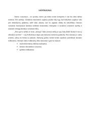 Darnaus vystymosi indikatoriai 3 puslapis
