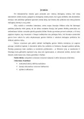 Darnaus vystymosi indikatoriai 4 puslapis