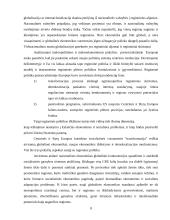 Regioninė ekonomika ir politika 8 puslapis