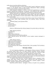 Reklama ir jos ypatumai 17 puslapis