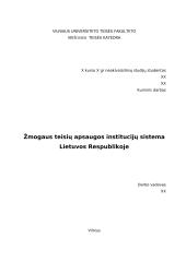 Žmogaus teisių apsaugos institucijų sistema Lietuvos Respublikoje