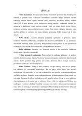 Reklama. Reklamos ypatumai ir poveikis visuomenei 3 puslapis