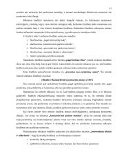 Reklaminės kampanijos kūrimas 13 puslapis